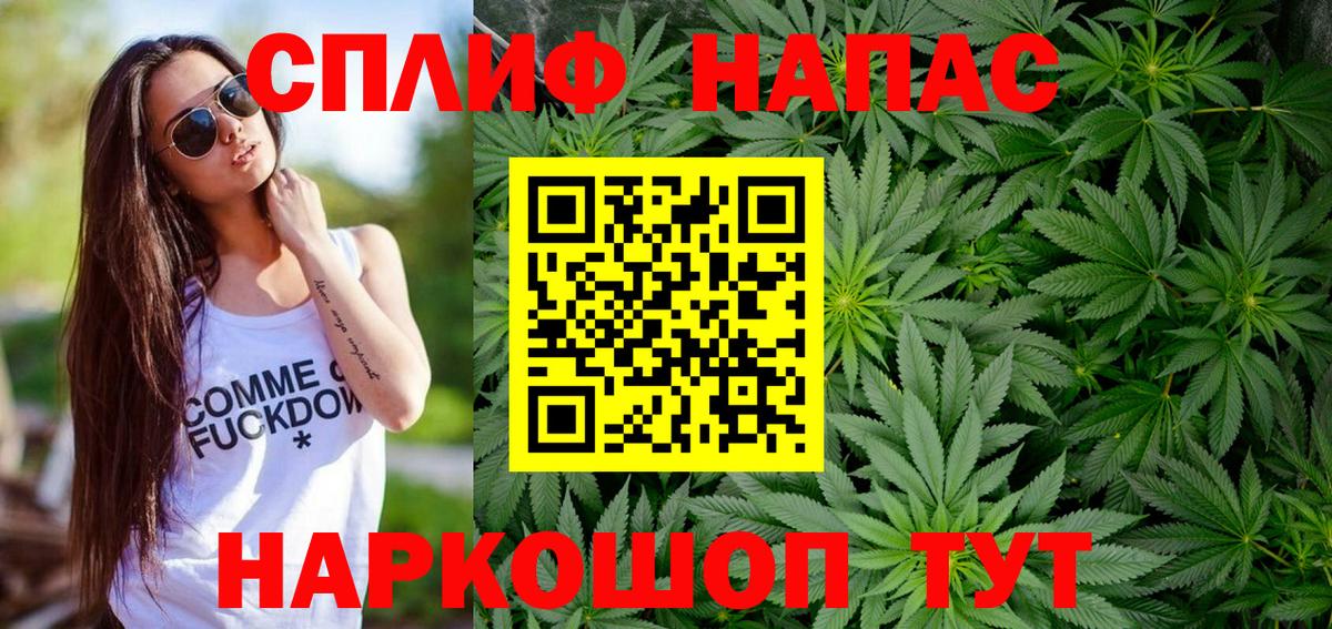 Каннабис конопля Сунжа